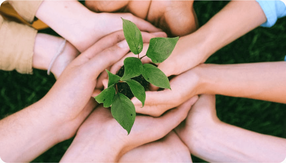 Capacity Building & Employee Volunteering